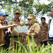 Optimalkan Aset Daerah, Bupati Siak Tinjau Lahan Optimalisasi Aset Daerah