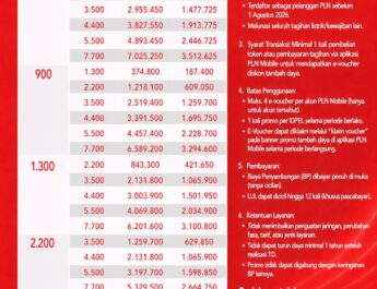 Promo “Merdeka Day” PLN Beri Diskon Tambah Daya 50%